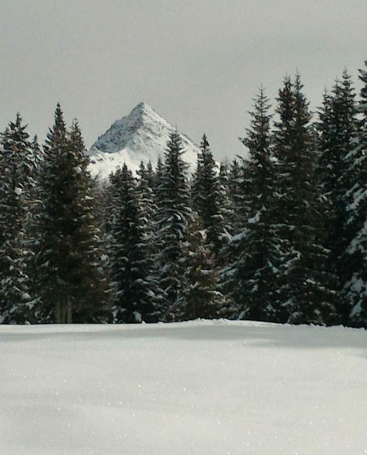 DosoledoBalcone Sulle Dolomiti 2アパートメント エクステリア 写真