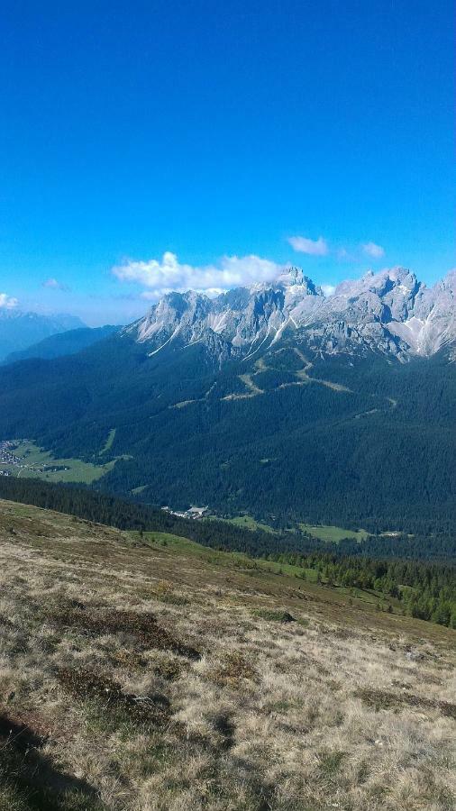 DosoledoBalcone Sulle Dolomiti 2アパートメント エクステリア 写真
