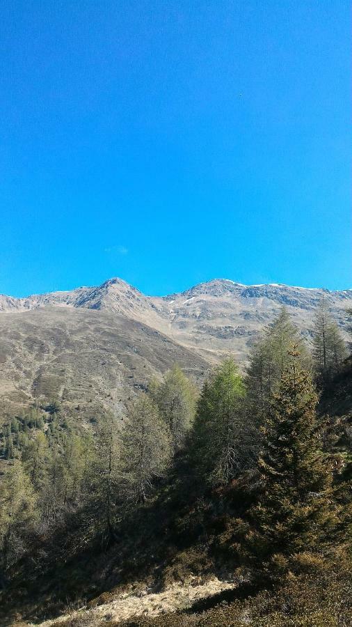 DosoledoBalcone Sulle Dolomiti 2アパートメント エクステリア 写真
