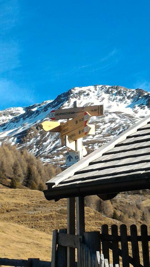 DosoledoBalcone Sulle Dolomiti 2アパートメント エクステリア 写真