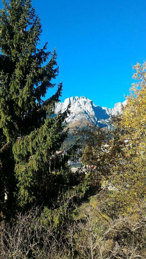 DosoledoBalcone Sulle Dolomiti 2アパートメント エクステリア 写真