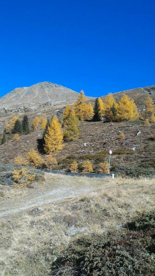 DosoledoBalcone Sulle Dolomiti 2アパートメント エクステリア 写真