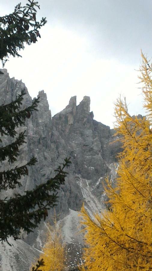 DosoledoBalcone Sulle Dolomiti 2アパートメント エクステリア 写真