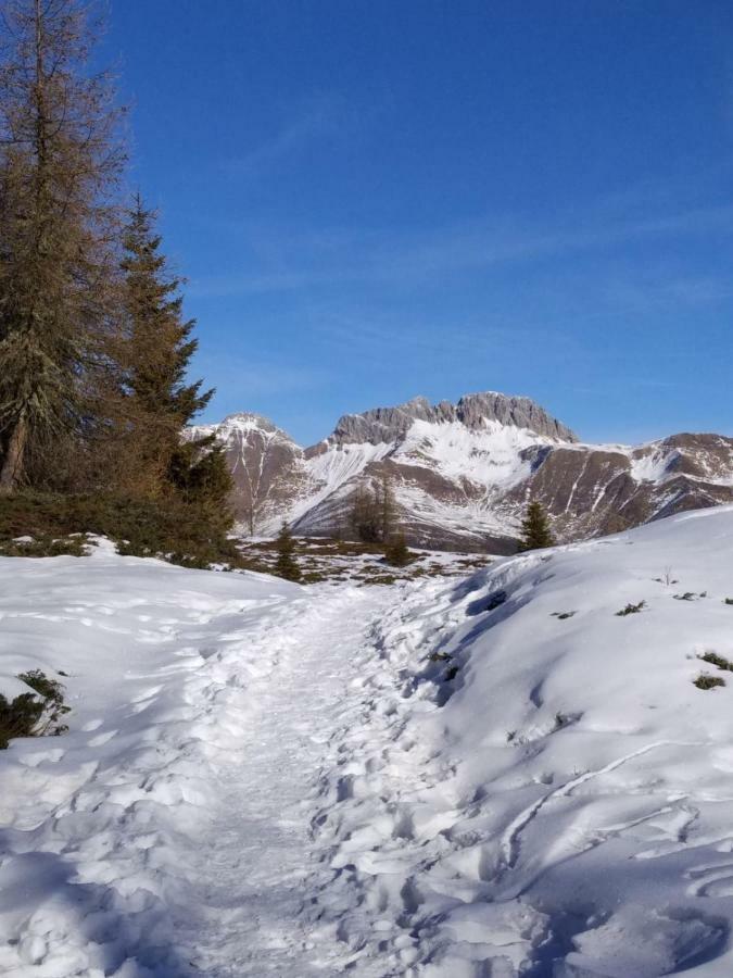 DosoledoBalcone Sulle Dolomiti 2アパートメント エクステリア 写真