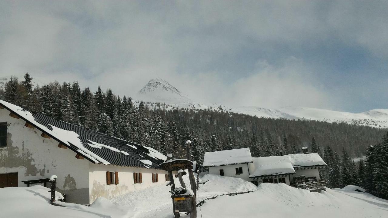 DosoledoBalcone Sulle Dolomiti 2アパートメント エクステリア 写真
