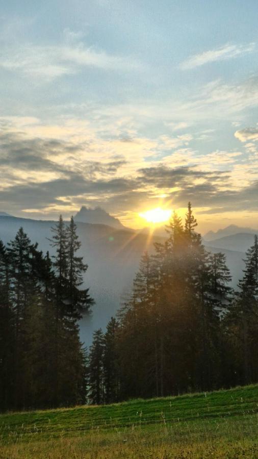 DosoledoBalcone Sulle Dolomiti 2アパートメント エクステリア 写真
